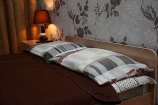 Гостиница Аксиома Гатчина Одноместный улучшенный номер-1